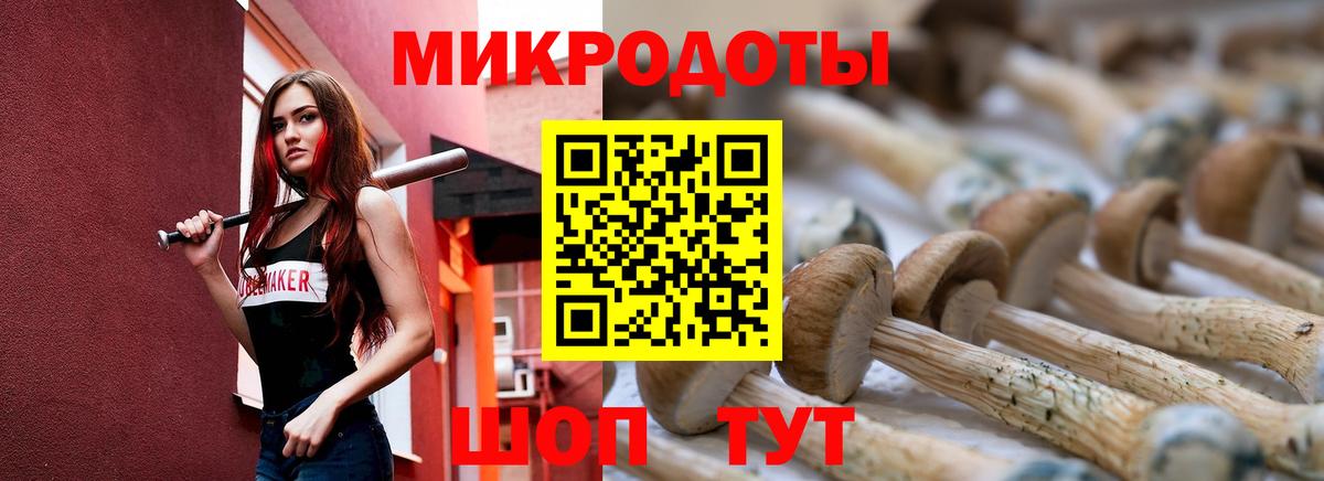 Псилоцибиновые грибы MAGIC MUSHROOMS Сердобск